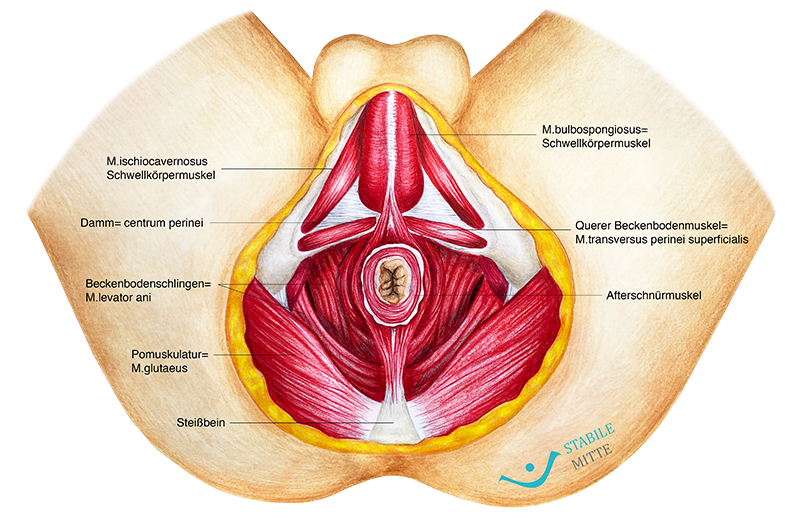 BB von unten Mann mit Beschriftung